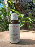 Synergie de Bourgeons Relax